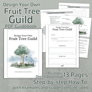 Design Your Own Fruit Tree Guild PDF Workbook