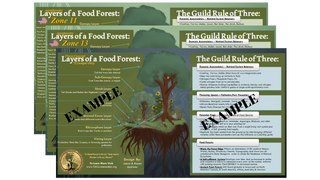 The Food Forest Starter Kit | INSTANT Download + Free Discovery Call