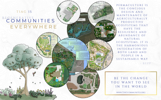 Homestead to Haven Design Intensive — 30-Day Sprint