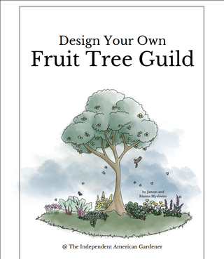 The Food Forest Starter Kit | INSTANT Download + Free Discovery Call
