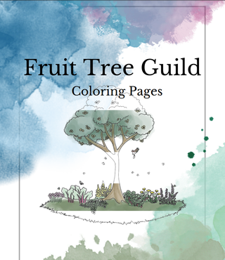 The Food Forest Starter Kit | INSTANT Download + Free Discovery Call