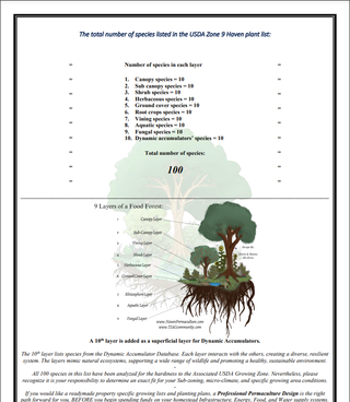 The Food Forest Starter Kit | INSTANT Download + Free Discovery Call