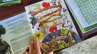 Foraging & Feasting: A Field Guide & Wild Food Cookbook by Dina Falconi; illustrated by Wendy Hollender