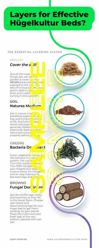 Hügelkultur Info Graphic (Layer How To)